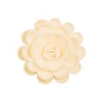 Róża angielska duża ecru - Daisy Decor
